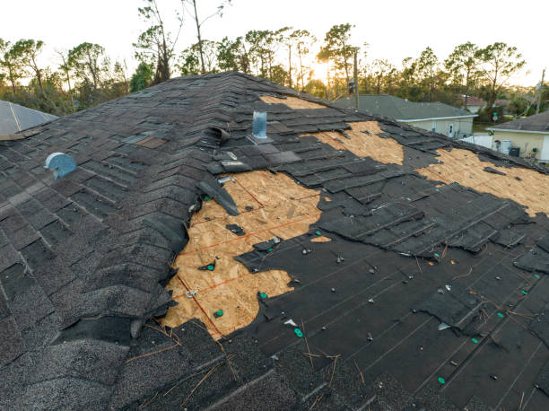 Best Steel Roofing  in Imperial, NE