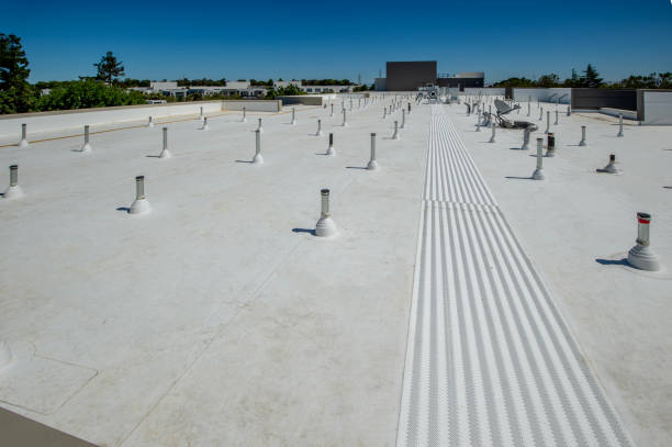 Best Sheet Metal Roofing  in Imperial, NE